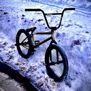 Meet your Posher, Roger